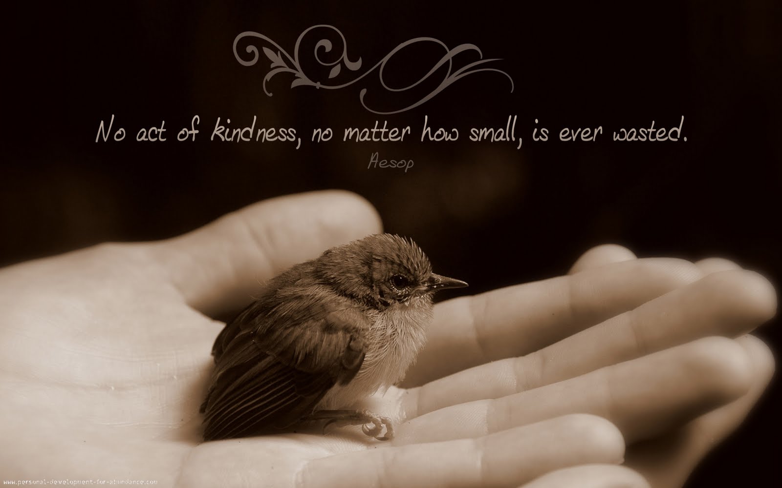 The Story Of Kindness