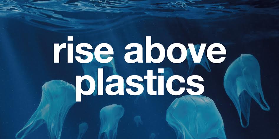 Plastic Pollution Solution